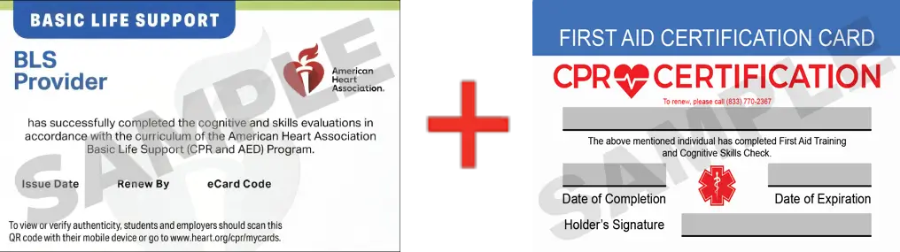 Sample American Heart Association AHA BLS CPR Card Certification and First Aid Certification Card from CPR Certification Lanham