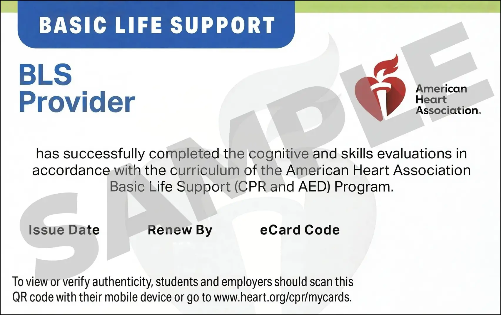 Sample American Heart Association AHA BLS CPR Card Certification from CPR Certification Lanham